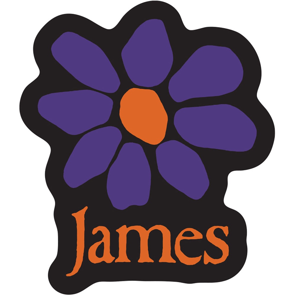 James - Orange Logo Purple Daisy Sticker - Black/Multicolours